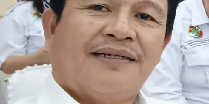 Dekopinwil Sulut dorong pembentukan koperasi tambang