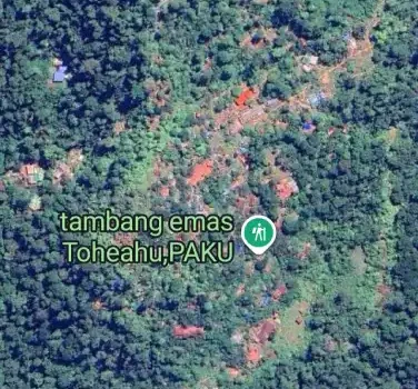 PETI Ilegal Mama Tia di Boltara