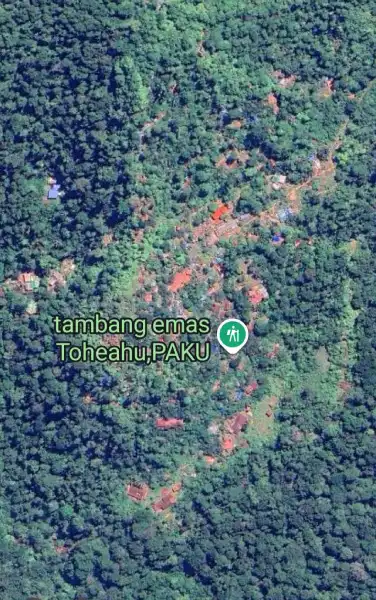 PETI Ilegal Mama Tia di Boltara