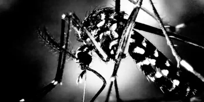 Sejarah Hari Malaria Sedunia