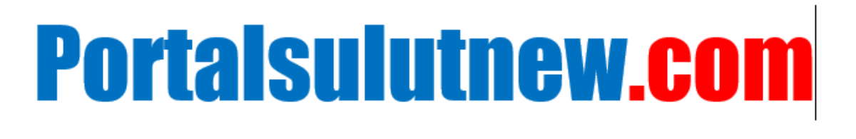Portalsulutnew.com