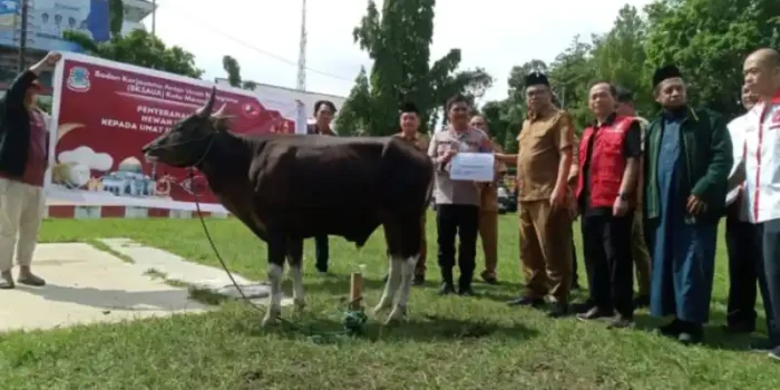 Penyaluran hewan kurban