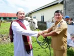 Penyerahan hewan kurban bantuan Presiden Prabowo