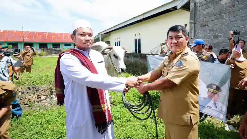 Penyerahan hewan kurban bantuan Presiden Prabowo