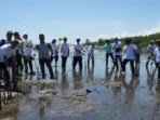 Penanaman Mangrove di Manado