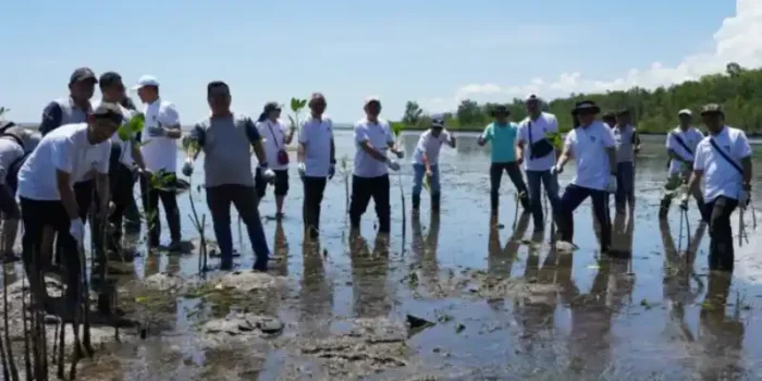 Penanaman Mangrove di Manado