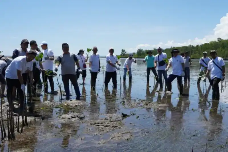 Penanaman Mangrove di Manado