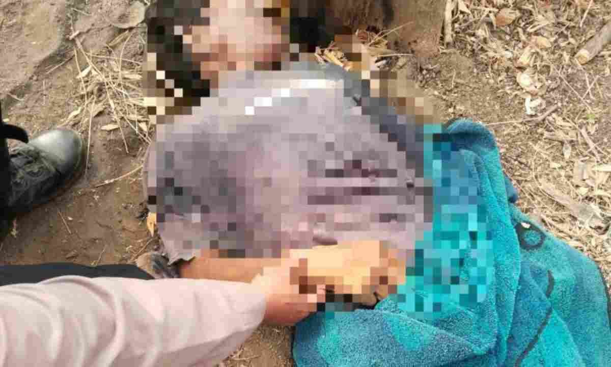 Mayat ditemukan di Perkebunan Kima Atas
